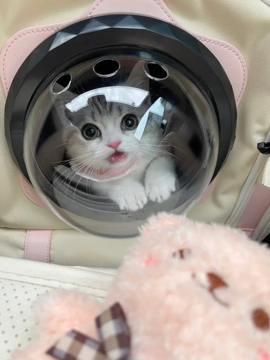 PetVoyager™ Bubble Backpack – Travel With Your Pet Anywhere